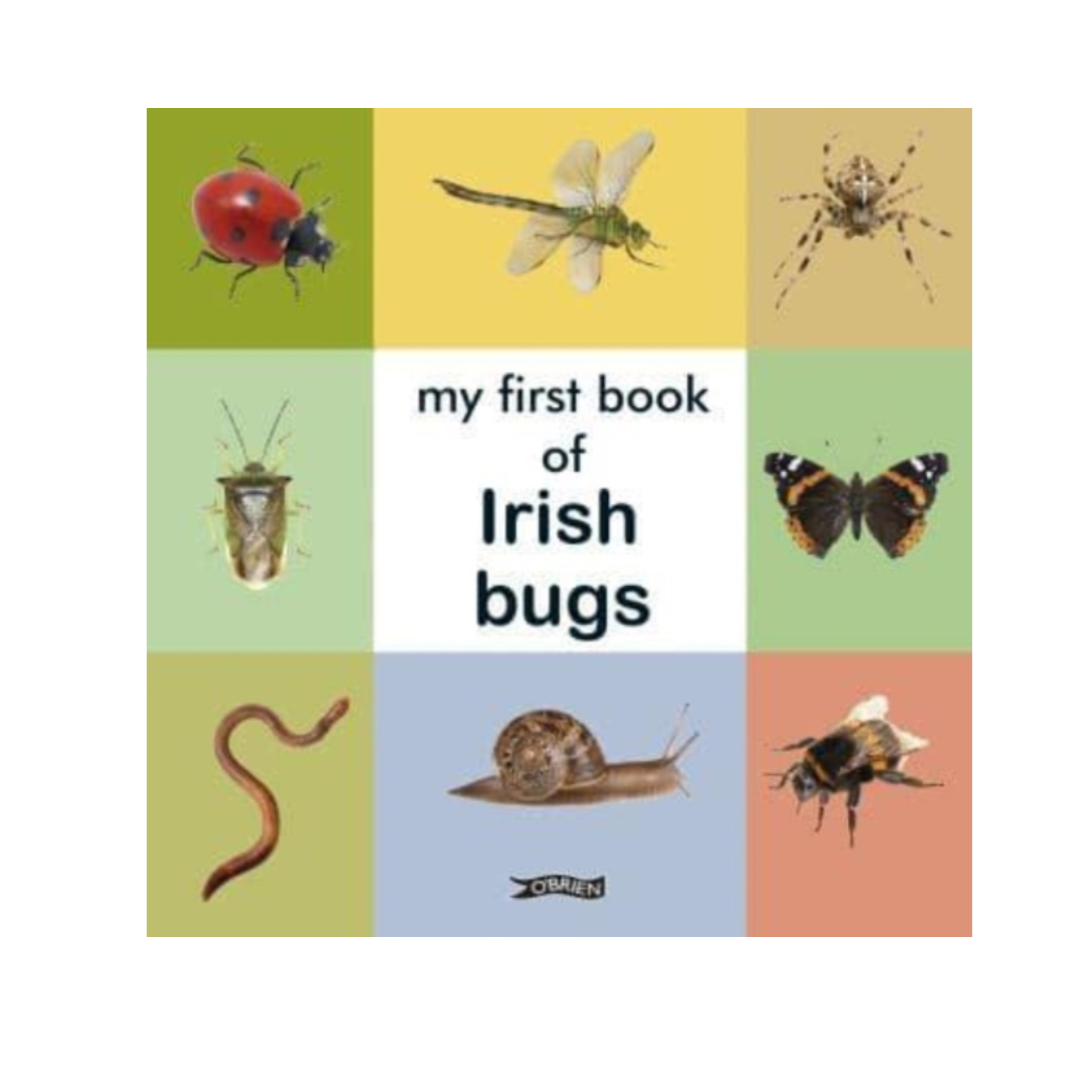 My First Book of Irish Bugs