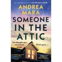 Someone in the Attic