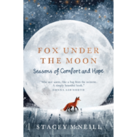 Fox Under the Moon