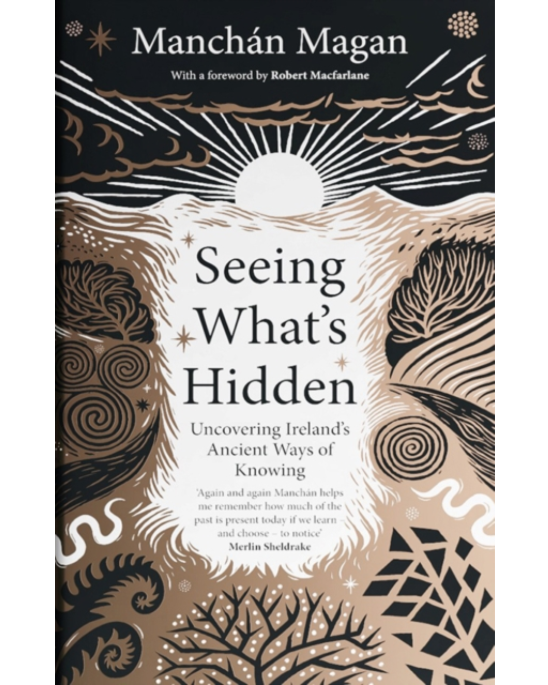 Seeing What's Hidden